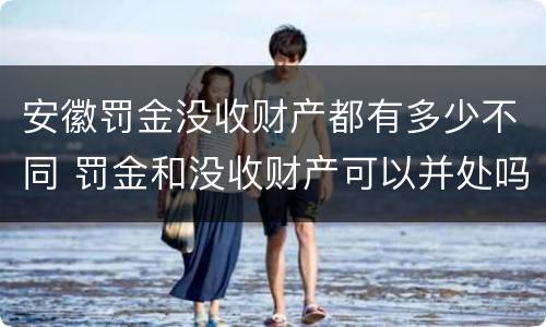 安徽罚金没收财产都有多少不同 罚金和没收财产可以并处吗
