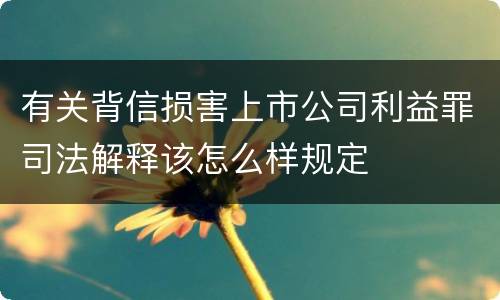有关背信损害上市公司利益罪司法解释该怎么样规定