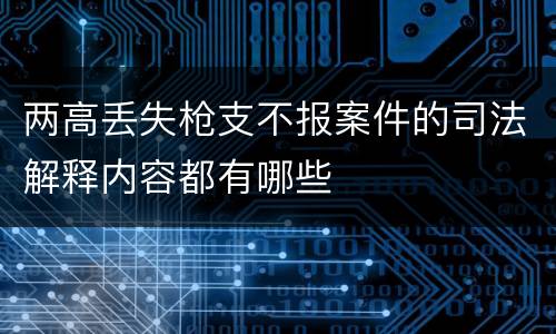 两高丢失枪支不报案件的司法解释内容都有哪些