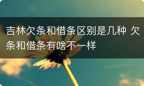 吉林欠条和借条区别是几种 欠条和借条有啥不一样