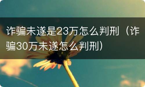 诈骗未遂是23万怎么判刑（诈骗30万未遂怎么判刑）