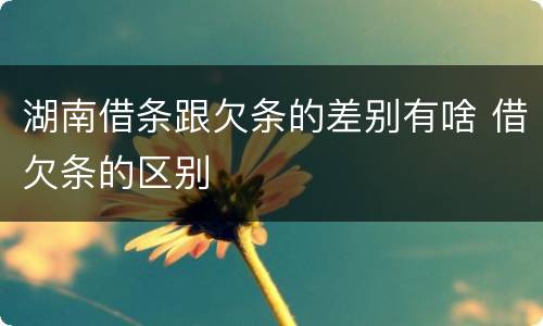 湖南借条跟欠条的差别有啥 借欠条的区别