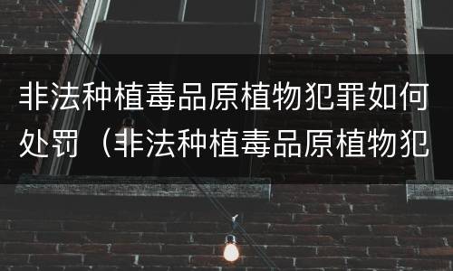 非法种植毒品原植物犯罪如何处罚（非法种植毒品原植物犯罪如何处罚的）