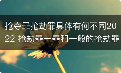 抢夺罪抢劫罪具体有何不同2022 抢劫罪一罪和一般的抢劫罪