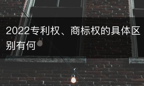 2022专利权、商标权的具体区别有何