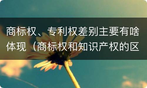商标权、专利权差别主要有啥体现（商标权和知识产权的区别）