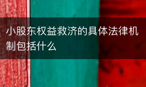 小股东权益救济的具体法律机制包括什么