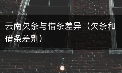 云南欠条与借条差异（欠条和借条差别）