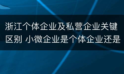 浙江个体企业及私营企业关键区别 小微企业是个体企业还是私营企业