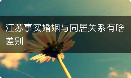 江苏事实婚姻与同居关系有啥差别