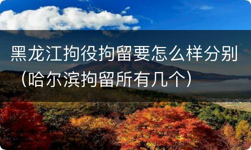 黑龙江拘役拘留要怎么样分别（哈尔滨拘留所有几个）