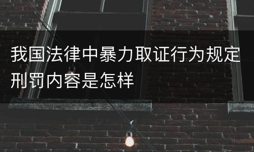 我国法律中暴力取证行为规定刑罚内容是怎样