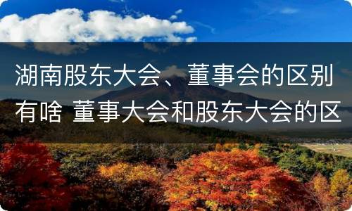 湖南股东大会、董事会的区别有啥 董事大会和股东大会的区别