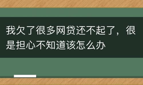 我欠了很多网贷还不起了，很是担心不知道该怎么办