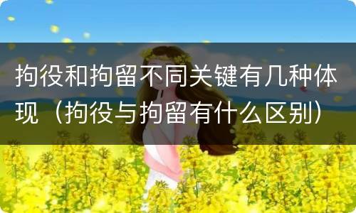 拘役和拘留不同关键有几种体现（拘役与拘留有什么区别）