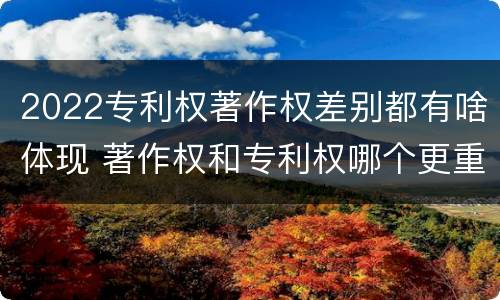 2022专利权著作权差别都有啥体现 著作权和专利权哪个更重要