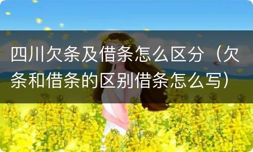 四川欠条及借条怎么区分（欠条和借条的区别借条怎么写）