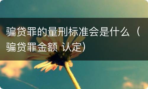 骗贷罪的量刑标准会是什么（骗贷罪金额 认定）