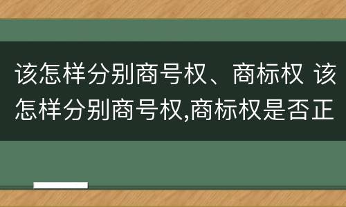 该怎样分别商号权、商标权 该怎样分别商号权,商标权是否正确