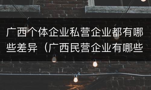 广西个体企业私营企业都有哪些差异（广西民营企业有哪些）