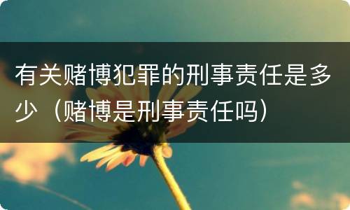 有关赌博犯罪的刑事责任是多少（赌博是刑事责任吗）