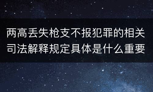两高丢失枪支不报犯罪的相关司法解释规定具体是什么重要内容