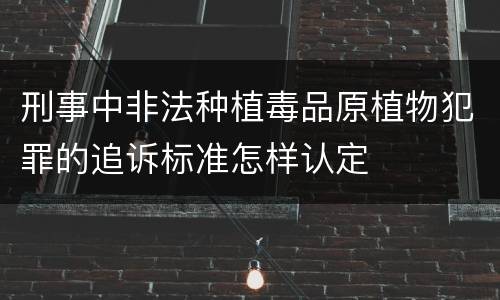 刑事中非法种植毒品原植物犯罪的追诉标准怎样认定