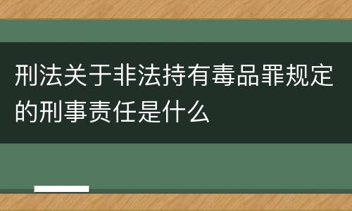 刑法关于非法持有毒品罪规定的刑事责任是什么