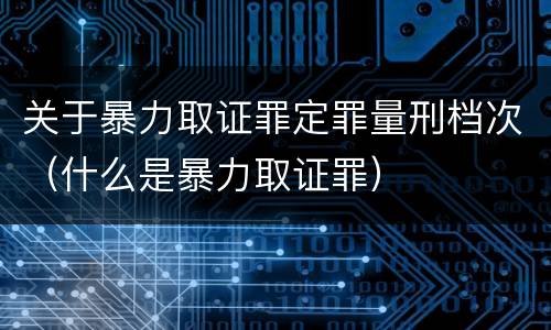 关于暴力取证罪定罪量刑档次（什么是暴力取证罪）
