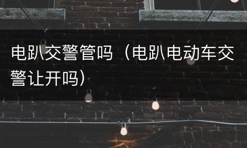 电趴交警管吗（电趴电动车交警让开吗）
