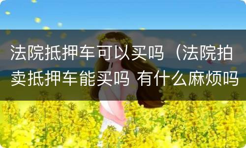 法院抵押车可以买吗（法院拍卖抵押车能买吗 有什么麻烦吗）