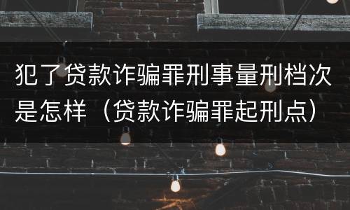 犯了贷款诈骗罪刑事量刑档次是怎样（贷款诈骗罪起刑点）