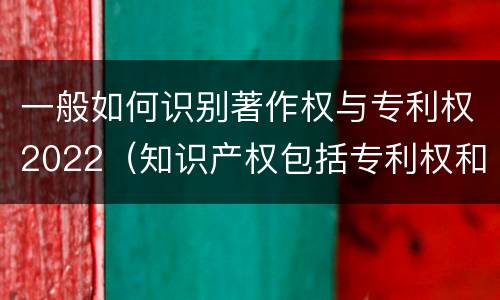 一般如何识别著作权与专利权2022（知识产权包括专利权和著作权吗）