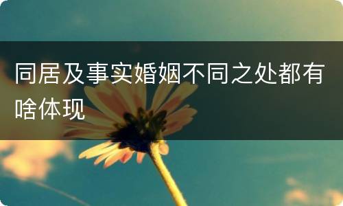 同居及事实婚姻不同之处都有啥体现