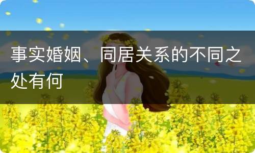 事实婚姻、同居关系的不同之处有何