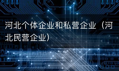 河北个体企业和私营企业（河北民营企业）