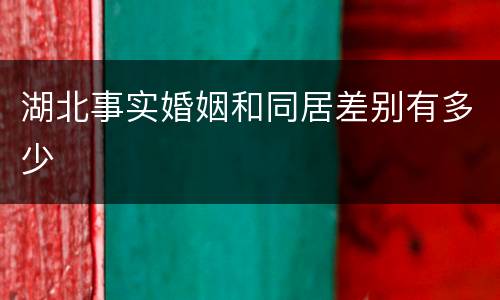 湖北事实婚姻和同居差别有多少