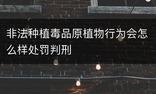 非法种植毒品原植物行为会怎么样处罚判刑