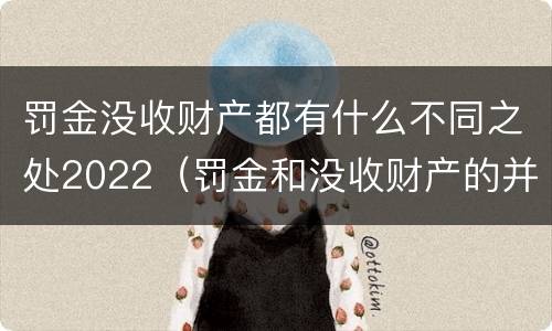 罚金没收财产都有什么不同之处2022（罚金和没收财产的并罚）