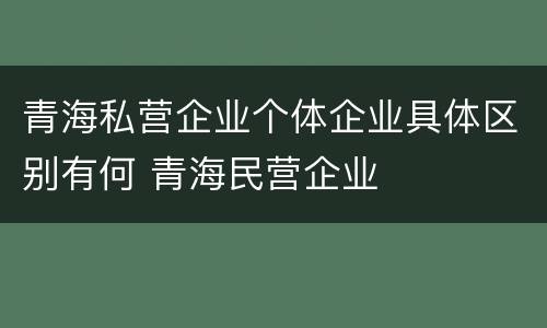 青海私营企业个体企业具体区别有何 青海民营企业