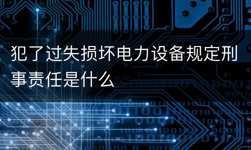 犯了过失损坏电力设备规定刑事责任是什么