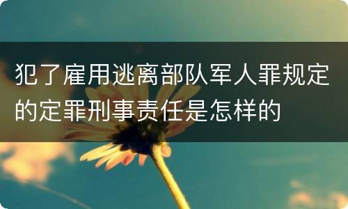 犯了雇用逃离部队军人罪规定的定罪刑事责任是怎样的