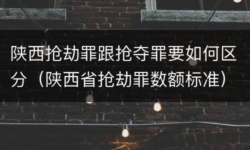 陕西抢劫罪跟抢夺罪要如何区分（陕西省抢劫罪数额标准）