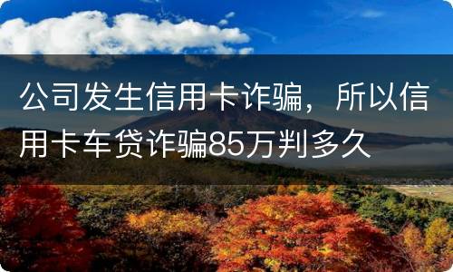 公司发生信用卡诈骗，所以信用卡车贷诈骗85万判多久