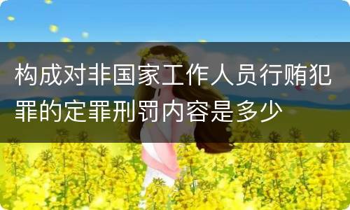构成对非国家工作人员行贿犯罪的定罪刑罚内容是多少
