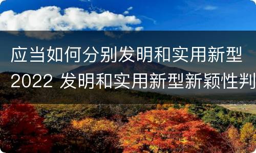 应当如何分别发明和实用新型2022 发明和实用新型新颖性判断方法