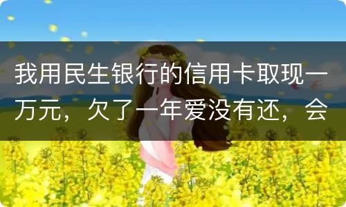 我用民生银行的信用卡取现一万元，欠了一年爱没有还，会构成诈骗罪吗