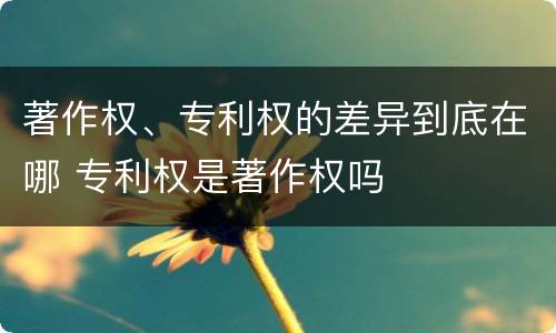 著作权、专利权的差异到底在哪 专利权是著作权吗