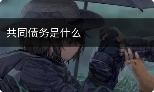 共同债务是什么