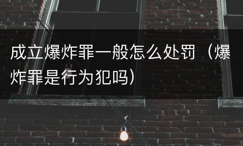 成立爆炸罪一般怎么处罚（爆炸罪是行为犯吗）